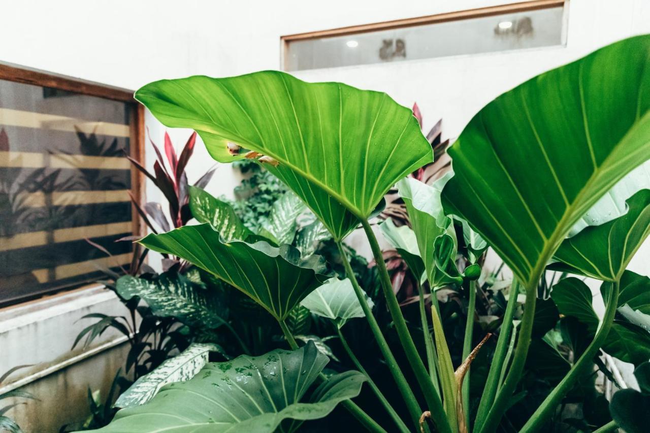 Moss Bnb Colombo Eksteriør bilde